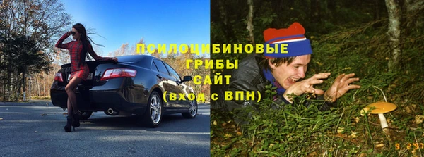 гидропоника Рославль