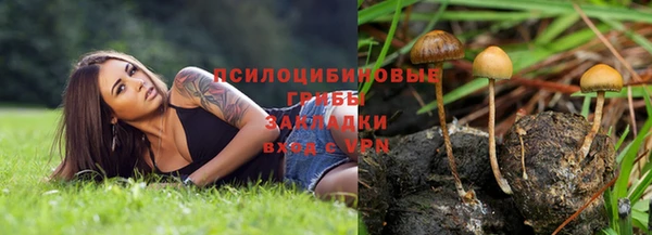 прущие крисы Абдулино