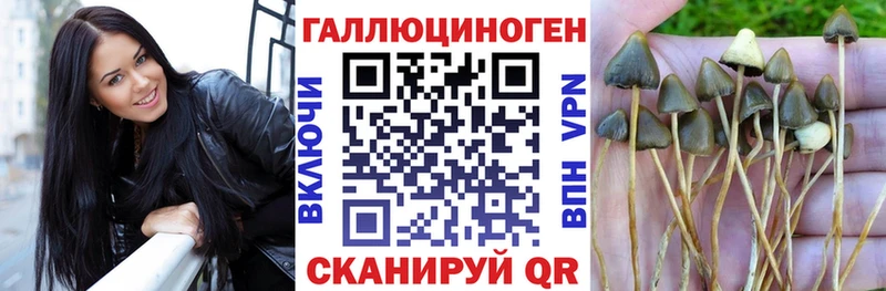 как найти закладки  Гагарин  Псилоцибиновые грибы GOLDEN TEACHER 