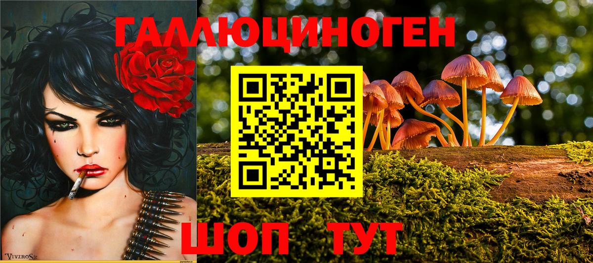 Галлюциногенные грибы мицелий  Псилоцибиновые грибы Cubensis  Вход с VPN  Гагарин 
