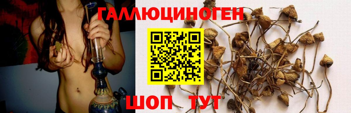 Галлюциногенные грибы Psilocybe Гагарин